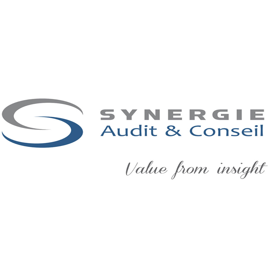 synergie-audit-conseil